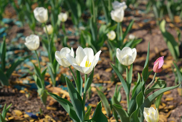 Similar image 21443698