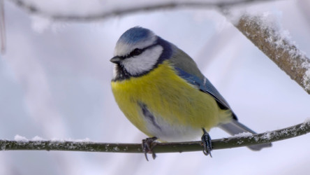 Similar image 21435656