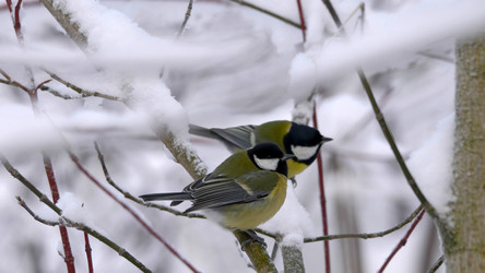 Similar image 21435658