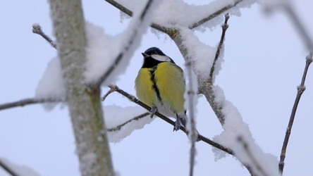 Similar image 21435659