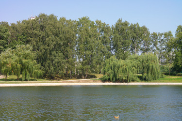 Similar image 21456727