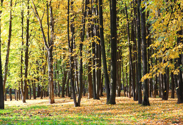 Similar image 21446172