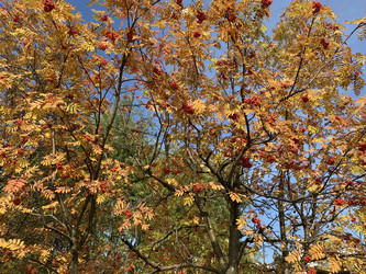 Similar image 21446173