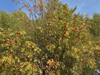 Similar image 21446174