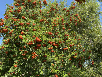 Similar image 21446176