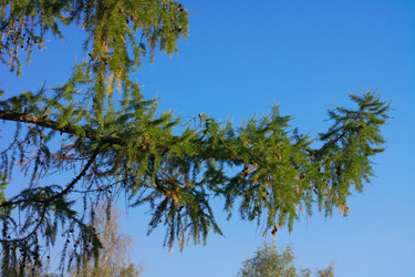 Similar image 21448548