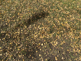 Similar image 21448549