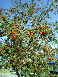 Similar image 21448551