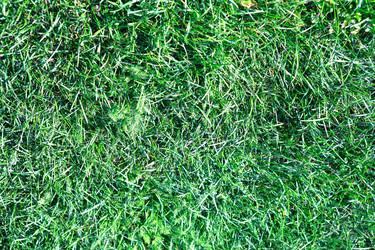 Similar image 21456730