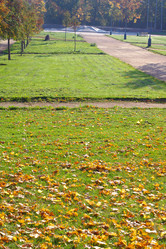 Similar image 21456734