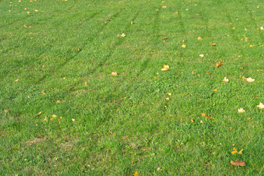 Similar image 21456735