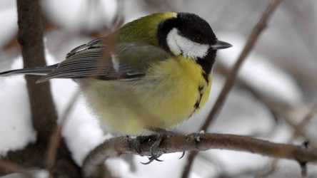 Similar image 21435231