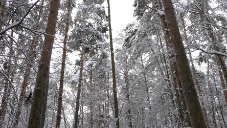 Similar image 21435232