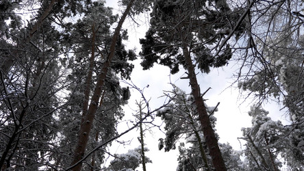 Similar image 21435233