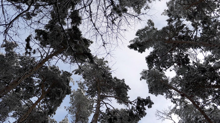 Similar image 21435234