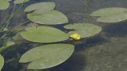 Similar image 21434083