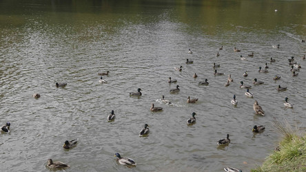 Similar image 21434086