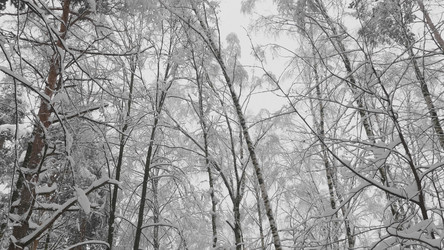 Similar image 21435237