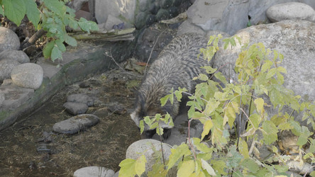 Similar image 21435238