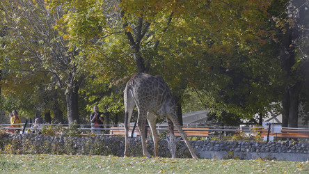 Similar image 21435242