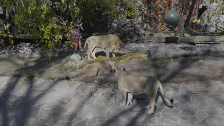 Similar image 21435243