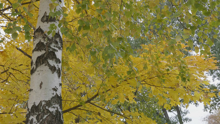 Similar image 21435244