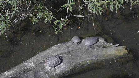 Similar image 21435247