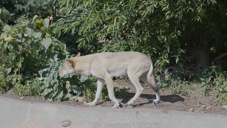 Similar image 21435248