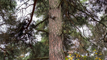 Similar image 21434088