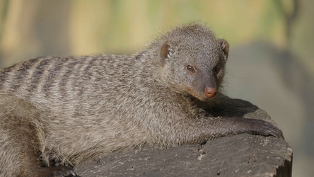 Similar image 21434092