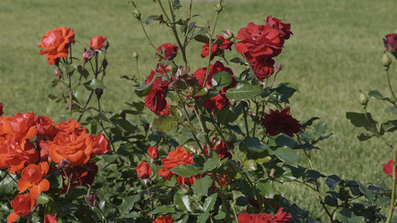 Similar image 21434094