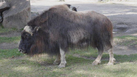 Similar image 21434095