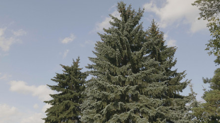 Similar image 21434096