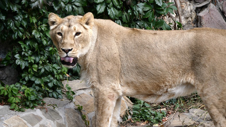 Similar image 21435663