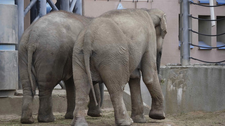 Similar image 21435668