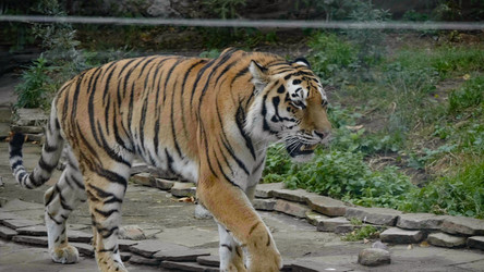 Similar image 21435669