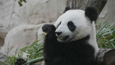 Similar image 21435677