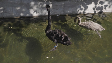 Similar image 21435681