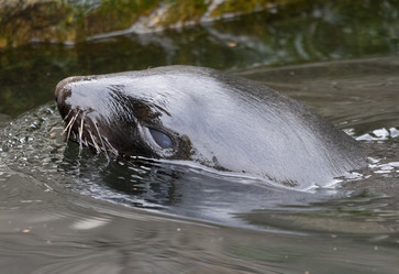 Similar image 21435683