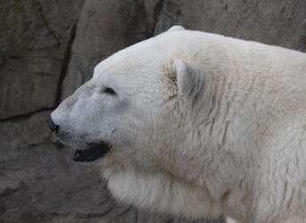 Similar image 21434098