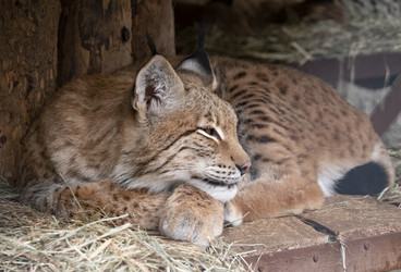 Similar image 21434099