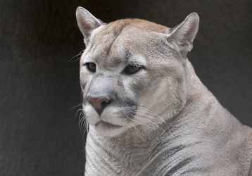 Similar image 21434101