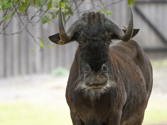 Similar image 21434103