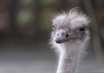 Similar image 21434106