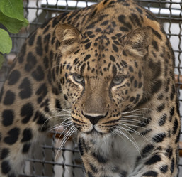 Similar image 21434107