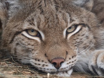 Similar image 21434109