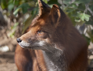 Similar image 21434114