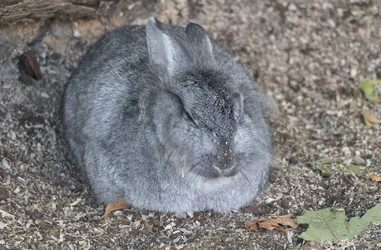 Similar image 21434646