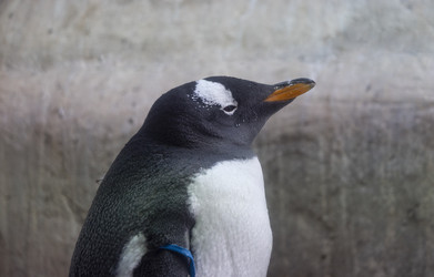 Similar image 21435259