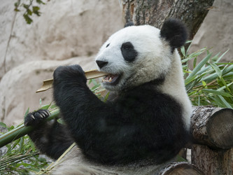 Similar image 21435261